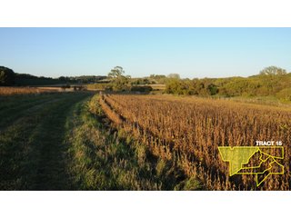 Property photo 57 - 1,153 +/- Acres offered in 15 TractsLAND AUCTION